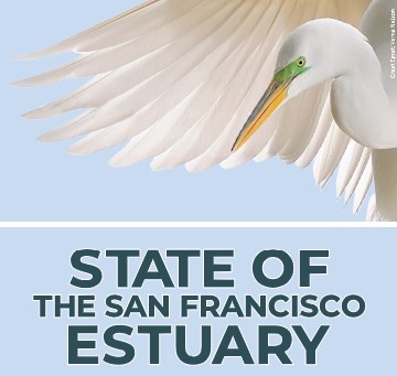 State of the Estuary Summit 2021 Logo with egret illustration